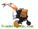 Gasoline Tiller GT-60