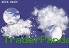 Polypropylene Fiber