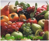 Self Adhesive PP Paper (WP-88MLL)