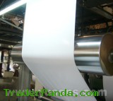 Photographic Paper