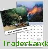 Wall Calendar
