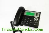 IP Phone ZP306