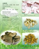 Mushroom