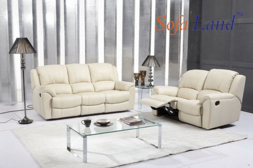 Recliner Sofa (575)
