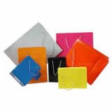 Paper Bags (Pc0600011)
