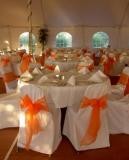 Polyester Chair Covers & Organza Sash