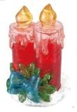 Solar Garden Light (CH5006)