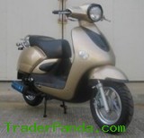 Gas Scooter (LB50QT-43)