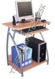Wooden Steel Computer Desk (TK-228)