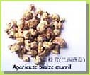 Agaricus Blazei Extract