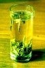 Green Tea Extract