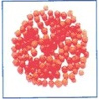 Red lentils 