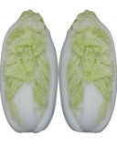 Cabbage