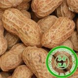 Peanut