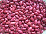 Japan Red Kidney Beans