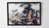3D Lenticular Training