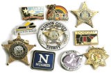 Metal Badge/Lapel Pin/Nameplate (CXJZK-H0028)