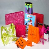 Paper Shopping Bag (DY0462)