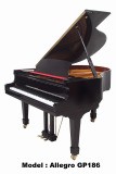 Grand Piano 186