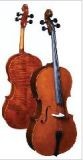 Violin (TALENTS-001SL)