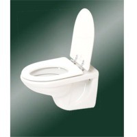 Sanitary wares 