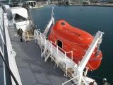 Gravity Luffing Arm Type Davit