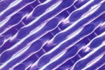 Monofilament Filter Fabric