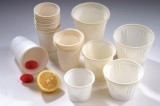 Biodegradable and Compostable Dinnerware