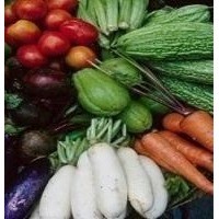 Fresh vegetables 