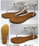 Fashion Lady Shoes (28TR80856)