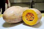 Secretary of this pumpkin 