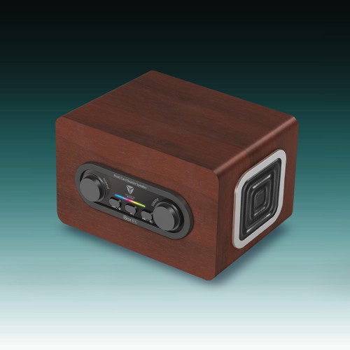Portable digital music player iBox D60