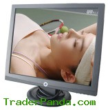 Shell 19 Inch LCD Monitor