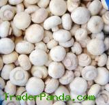 Iqf Whole Agaricus Bisporus