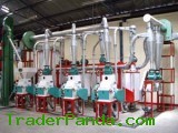 Maize Flour Processing Plant