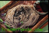Buckwheat Noodles (Katokichi-4)