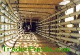 Fiberglass Deformed Rebar, Composite Rebar
