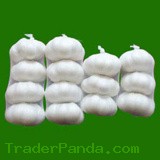 White Garlic