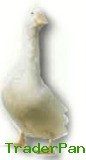 Fresh Frozen Meat - Duck