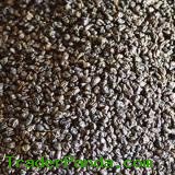 Green Tea (Gunpowder 3503) (The Vert De Chine)