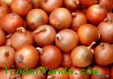 Fresh Onions