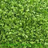 Dehydrated Shallot Green Ring