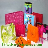 Paper Shopping Bag (DY0462)